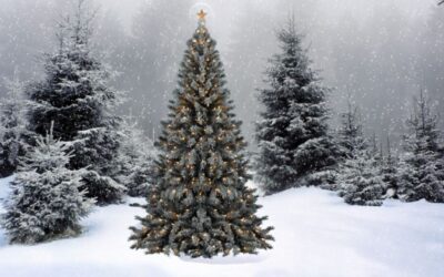 A Tribute To A Great Man