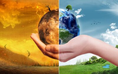 What is the Difference Between Climate Cycles and Climate Change?
