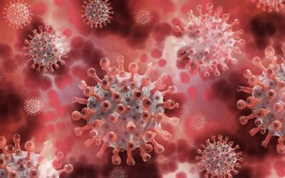 Disease X: The new Atomic “Pandemic”. The government says it knows nothing about, but…