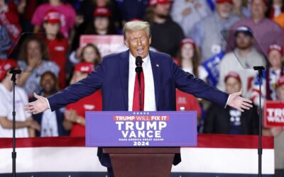 THIS IS THE SAVE THE REPUBLIC AND THE CONSTITUTION ELECTION!