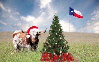 A TEXAS CHRISTMAS