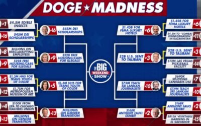 PRESIDENT TRUMP AND DOGE: A GIFT TO AMERICA